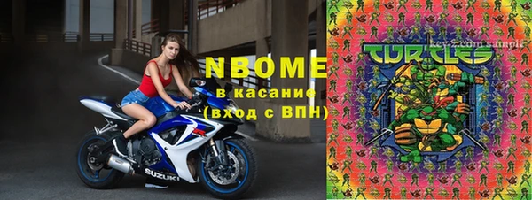 индика Армянск
