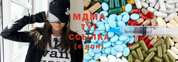 индика Аркадак